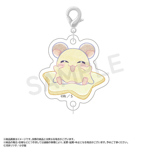 『とっとこハム太郎』~Twinkle Dreams~つながるアクリルチャーム【BOX】